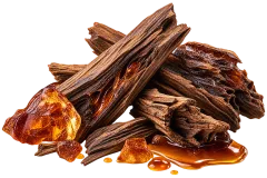 Amberwood