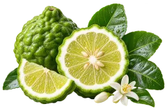 Bergamot