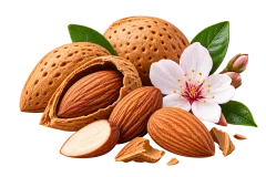 Bitter Almond