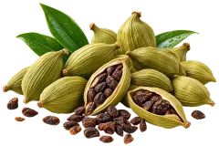 Cardamom