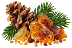 Fir Resin