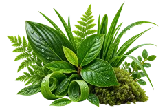 Green Notes